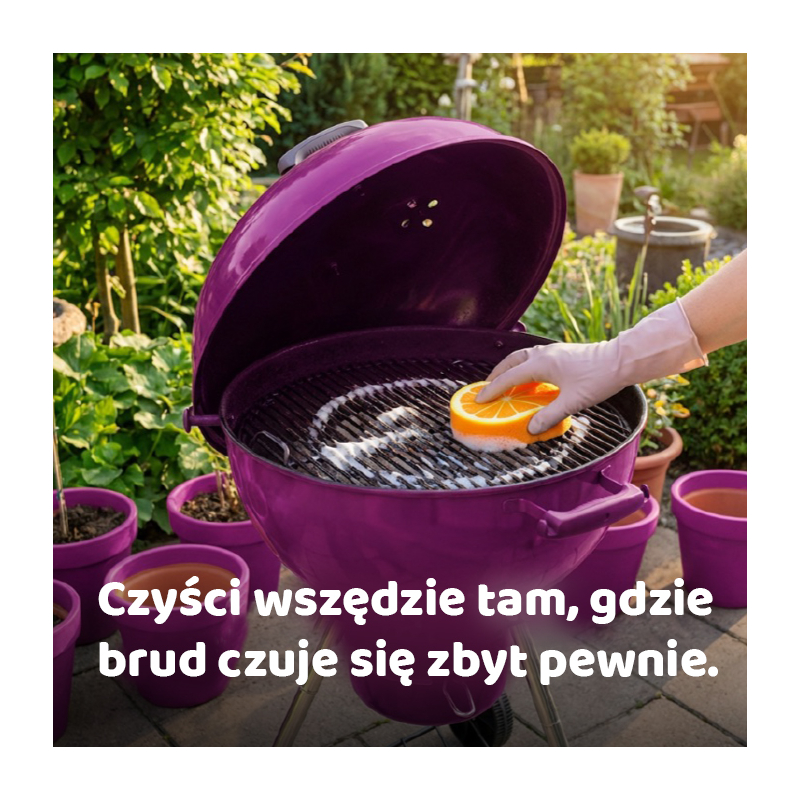 Dodatkowe zdjęcie